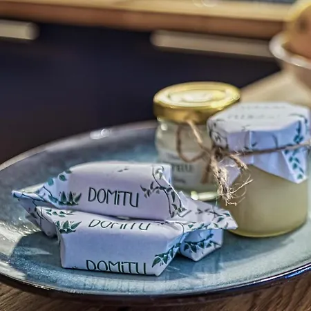 A2 Domitu Z Basenem, Sauną, Jacuzzi - 5d Apartament *